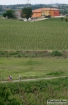 11_05_2008_9a_Maratona_del_Custoza_Sommacampagna_VR-0918.jpg