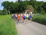 IMG_5339.jpg