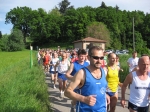 IMG_5345.jpg