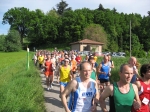 IMG_5348.jpg