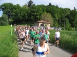 IMG_5366.jpg