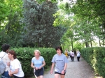 IMG_5391.jpg