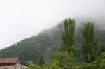 IMG_0059.JPG