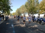 barletta_157.jpg