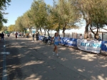 barletta_181.jpg