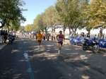 barletta_203.jpg