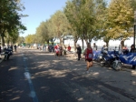 barletta_211.jpg
