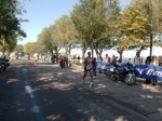barletta_226.jpg