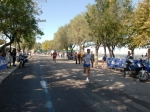 barletta_297.jpg