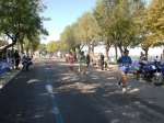 barletta_308.jpg