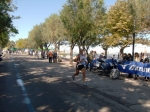 barletta_338.jpg