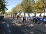 barletta_343.jpg