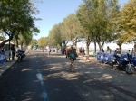 barletta_347.jpg