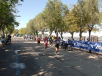 barletta_454.jpg