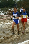 IMG_9365.jpg