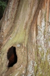 DSC_5972.jpg