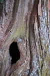 DSC_5973.jpg