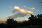DSC_6178.jpg