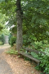 DSC_8020.jpg