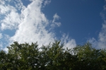 DSC_8241.jpg