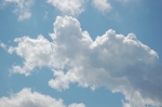 DSC_8313.jpg