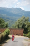 DSC_8317.jpg