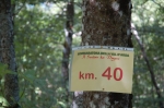 DSC_8391.jpg