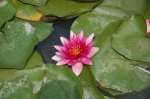 DSC_8398.jpg