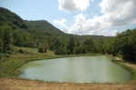 DSC_8400.jpg