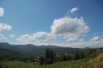 DSC_8445.jpg