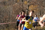 Filename=IMG_1479.JPG
Filesize=207KiB
Dimensions=1024x683
Date added=Nov 17, 2008 IMG_1479.JPG