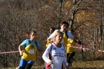 IMG_1485.JPG