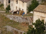 Ultramarathon_GranSasso_061.jpg