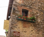 123.jpg