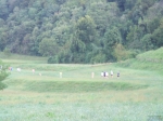 NC_San_Gregorio_Foto_F_Dellapiana___0010.jpg