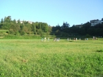 NC_San_Gregorio_Foto_F_Dellapiana___0011.jpg