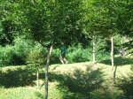 NC_San_Gregorio_Foto_F_Dellapiana___0029.jpg