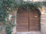 NC_San_Gregorio_Foto_F_Dellapiana___0036.jpg