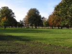 107.jpg