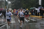 _MG_9355.jpg