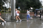 _MG_9553.jpg