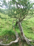 DovedaleDipperChallange_foto_F_Dellapiana_040.jpg