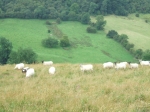 DovedaleDipperChallange_foto_F_Dellapiana_052.jpg