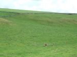 DovedaleDipperChallange_foto_F_Dellapiana_057.jpg