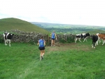 DovedaleDipperChallange_foto_F_Dellapiana_080.jpg