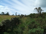 DovedaleDipperChallange_foto_F_Dellapiana_098.jpg