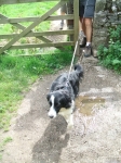 Filename=DovedaleDipperChallange_foto_F_Dellapiana_145.jpg
Filesize=277KiB
Dimensions=750x1000
Date added=Aug 19, 2008 DovedaleDipperChallange_foto_F_Dellapiana_145.jpg