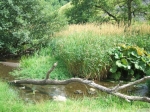 Filename=DovedaleDipperChallange_foto_F_Dellapiana_150.jpg
Filesize=345KiB
Dimensions=1000x750
Date added=Aug 19, 2008 DovedaleDipperChallange_foto_F_Dellapiana_150.jpg