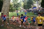 IMG_1239.JPG