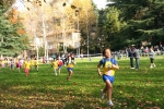 Filename=IMG_1264.JPG
Filesize=229KiB
Dimensions=1024x683
Date added=Nov 11, 2008 IMG_1264.JPG